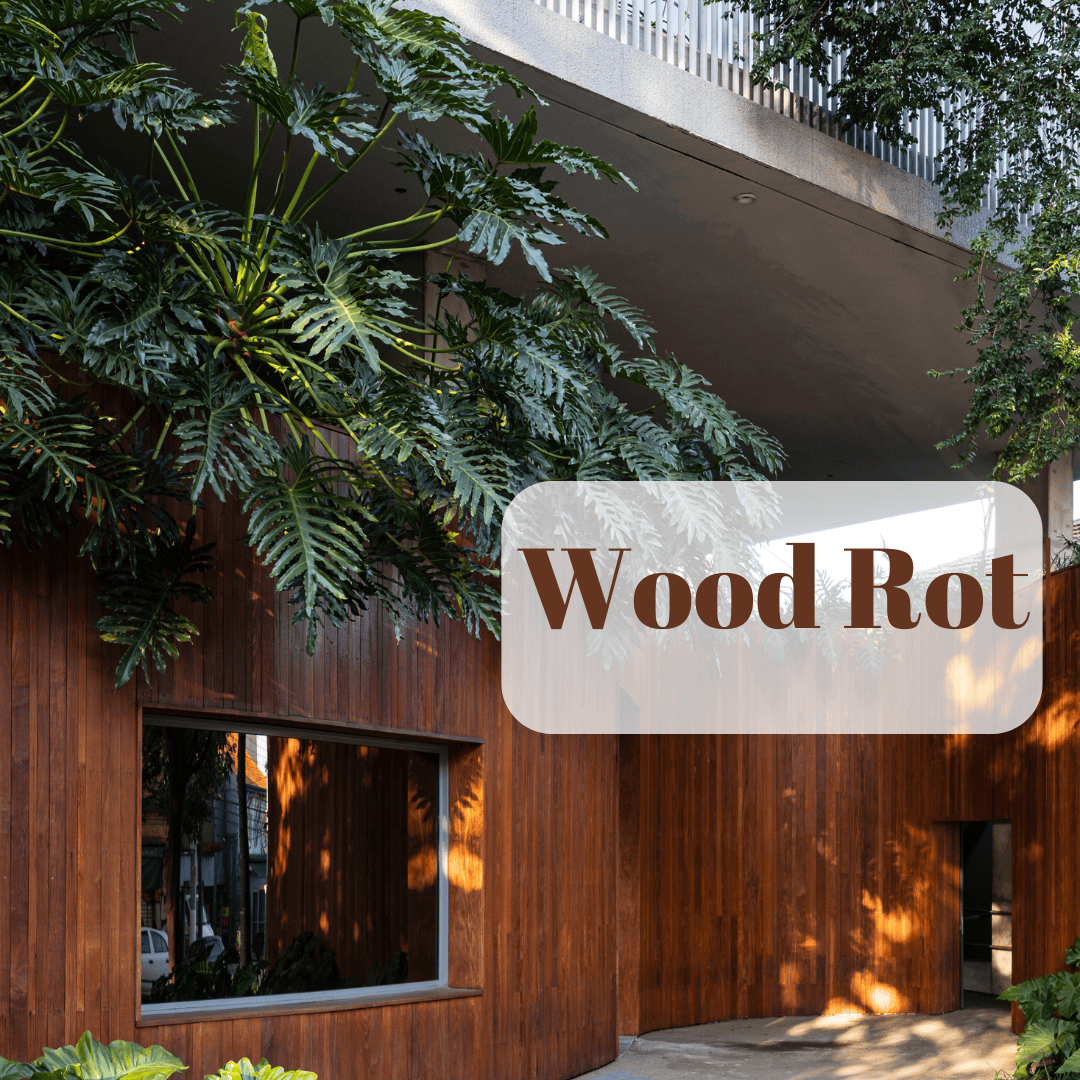 Thing you should know about Wood Rot